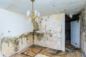 interior room of a home with major flood damage and visible mold