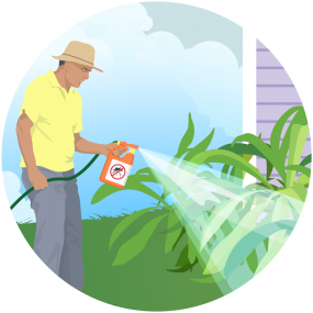 Illustration of a man spraying adulticide outdoors.
