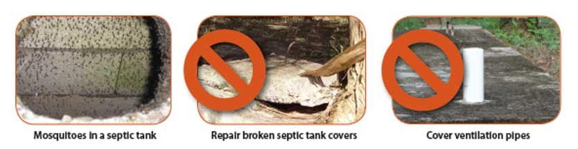 Mosquitoes in a septic tank, a septic tank with a broken concrete cover, and a ventilation pipe with no cover