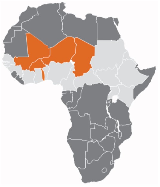 This map depicts countries in the African meningitis belt (in light gray) and the five African MenAfriNet countries (in orange). The meningitis belt countries across the center band of Africa include Mauritania, Senegal, Guinea, the Ivory Coast, Ghana, Benin, Nigeria, Cameroon, the Central African Republic, South Sudan, Uganda, and Kenya. The MenAfriNet countries include Mali, Burkina Faso, Togo, Niger, and Chad.
