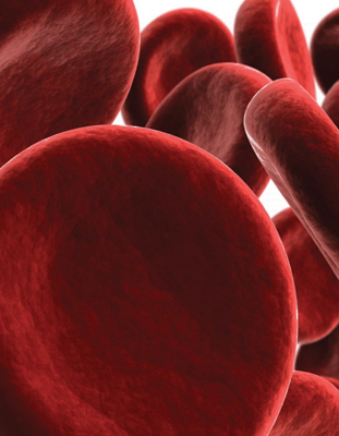 Maryland Science Center - Journey into the microscopic world of cells