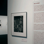 The Quiet Sickness exhibition installation