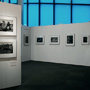 The Quiet Sickness exhibition installation