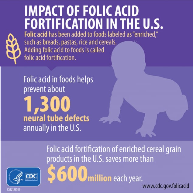 Impact of folic acid fortification in the U.S.