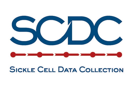 SCDC logo