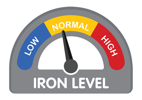 Illustration of a concept gauge showing iron levels: low, normal and high