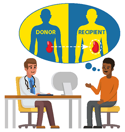 Ilustración de un donante y receptor de riñón