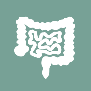 bowel health icon