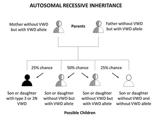 Autosomal Recessive Inheritance Chart