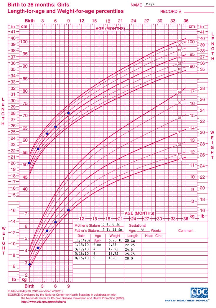 Growth chart
Birth to 36 months: girls
length-for-age and weight-for-age percentiles

Name: Maya

Data points for the growth chart show the following:

Date - Age - Weight - length
11/14/09 - birth - 6.25 pounds - 20 inches
1/15/10 - 2 months - 9.25 pounds - 22.25 inches
3/17/10 - 4 months - 12.25 pounds - 24.6 inches
5/16/10 - 6 months - 13.75 pounds - 25.75 inches
8/15/10 - 9 months - 16 pounds - 28 inches
