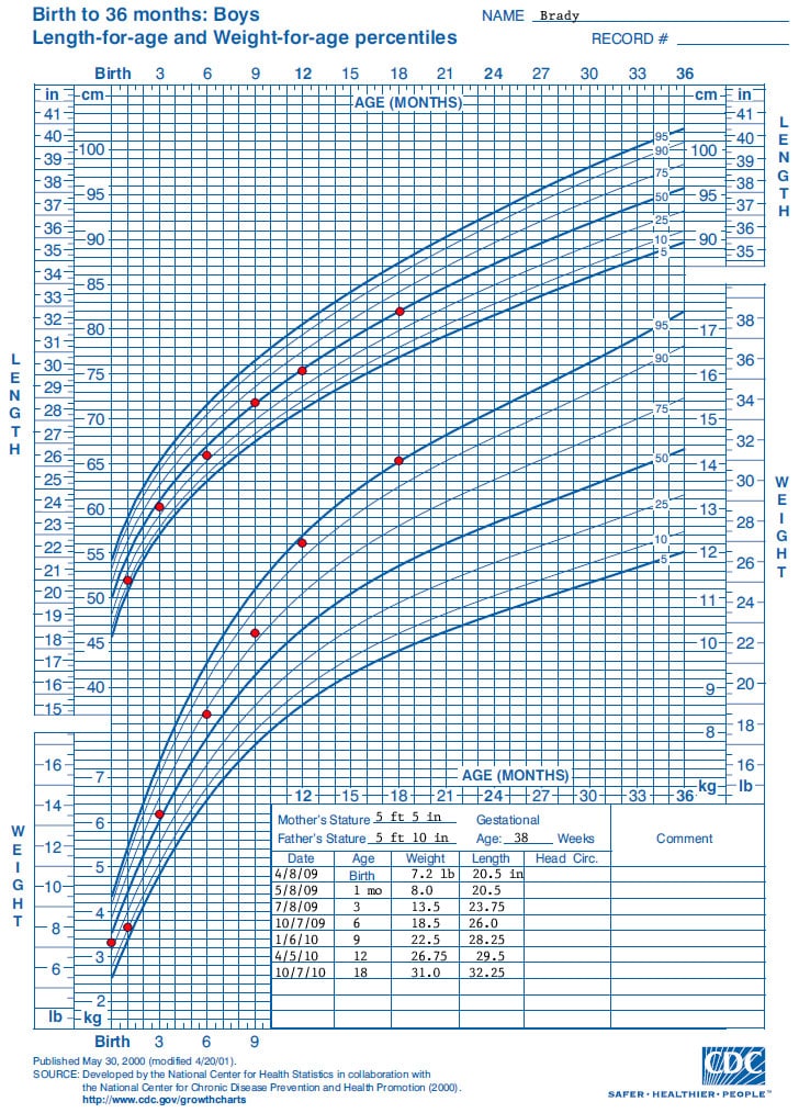 Growth chart. Birth to 36 months: boys. Length for age and Weight for age percentiles. Name: Brady. Data points for the growth chart show the following: Date – Age – Weight – Length. 5/8/2009 – 1 month – 8.0 pounds – 20.5 inches. 7/8/2009– 3 months – 13.5 pounds - 23.75 inches. 10/7/2009– 6 months – 18.5 pounds - 26.0 inches. 1/6/2010 – 9 months – 22.5 pounds - 28.25 inches. 4/5/2010 - 12 months – 26.75 pounds - 29.5 inches. 10/7/2010 - 18 months – 31.0 pounds - 32.25 inches