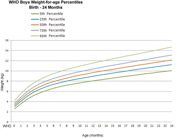 The horizontal axis shows the age in months from 0 to 24 months. 
The vertical axis shows the weight in kilograms from 0 to 16 kilograms (kg). 
The dark green line represents the 5th percentile. It starts at over 2 kg at 0 months and ends at 10 kg at 24 months. 
The dark blue line represents the 25th percentile. It starts at about 3 kg at 0 months and ends at about 11 kg at 24 months. 
The orange line represents the 50th percentile. It starts at over 3 kg at 0 months and ends at about 12 kg at 24 months. 
The light blue line represents the 75th percentile. It starts at under 4 kg at 0 months and ends at about 13 kg at 24 months.  
The light green line represents the 95th percentile. It starts at over 4 kg at 0 months and ends at over 14 kg at 24 months.
