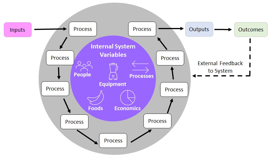 Inputs are subjected to processes influenced by internal system variables like people, processes, equipment, foods, and economics. Then those outputs lead to outcomes and External Feedback to the system.