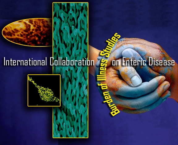 Graphic: International Collaboration on Enteric Disease 'Burden of Illness' Studies logo