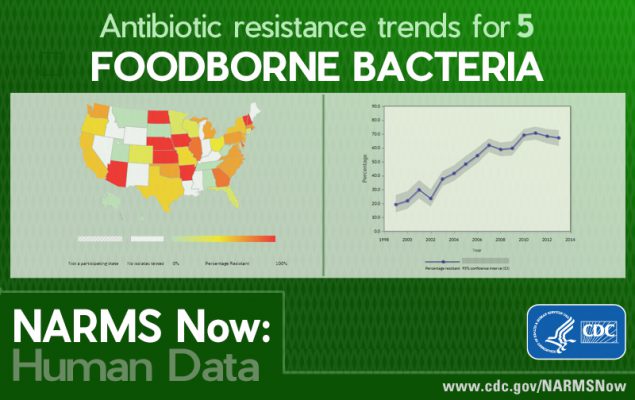 Antibiotic trends for 5 foodborne bacteria - NARMS Now: Human Data