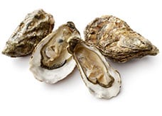 4 shucked oysters