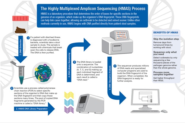 Highly multiplexted amplicon sequencing (HMAS)