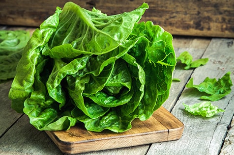 Photo of romaine lettuce.