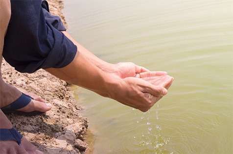 Photo of a person putting their hands in dirty water.