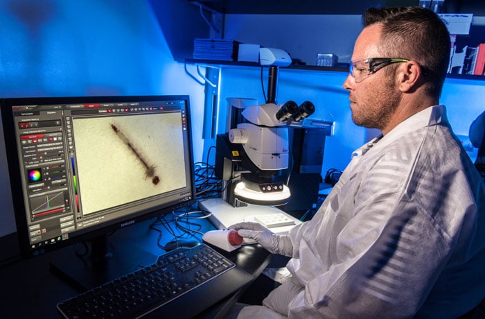 Investigador de los CDC observa larvas de mosquitos mediante el uso de un microscopio especializado.