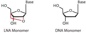 Illustration of LNA and DNA monomers