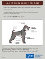 thumbnail image of infographic - Check your pets for ticks