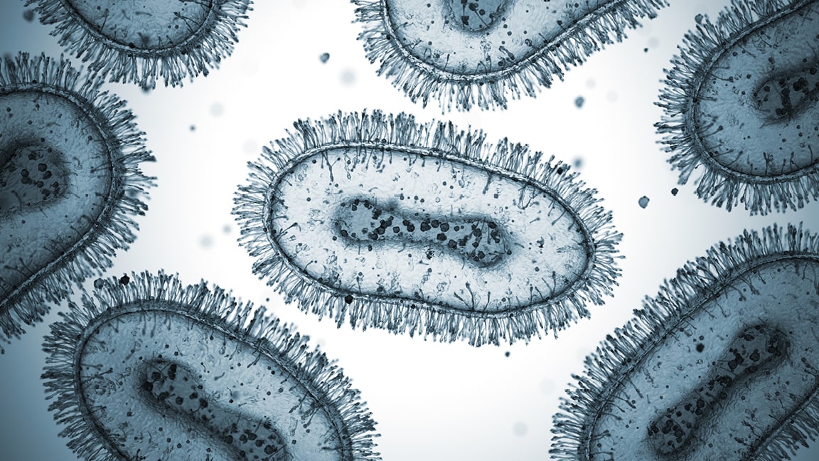 Microscopic image of a pathogen