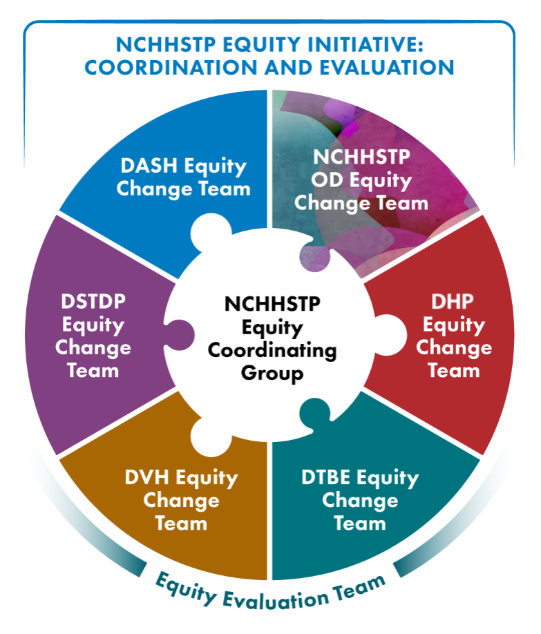 Diagram showing the relationship among NCHHSTP's Equity Coordinating Group and each Division's Equity Change Team