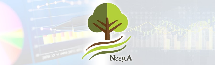 Epidemiologic and Economic Modeling Agreement (NEEMA) logo