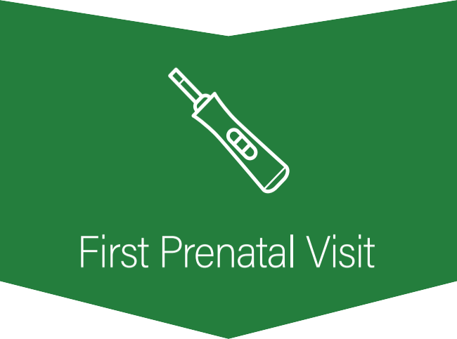 Downward chevron with a positive pregnancy test - First Prenatal Visit