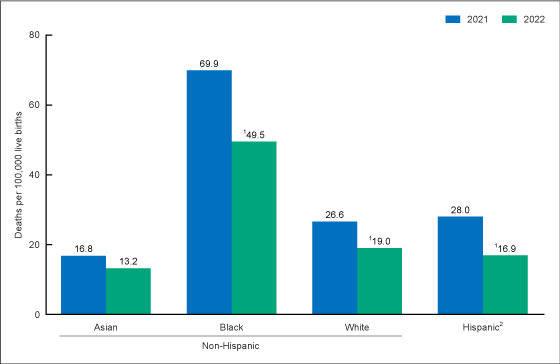 Figure 2 is a bar chart of the maternal mortality rate by race and Hispanic origin in the United States in 2021 and 2022.