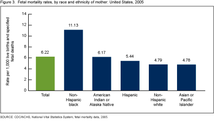 Figure 3 is a bar chart showing fetal mortality rates by race and ethnicity of the mother for 2005.