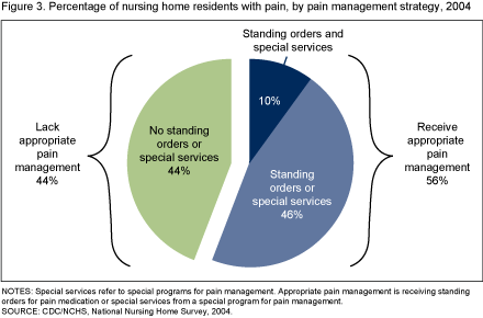 Figure 3 is a pie chart showing the percentage of nursing home residents with pain, by pain management strategy for 2004.
