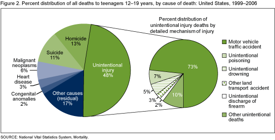 Figure 2. Percent distribution of all deaths to teenagers aged 12–19 years, by cause of death: United States, 1999–2006