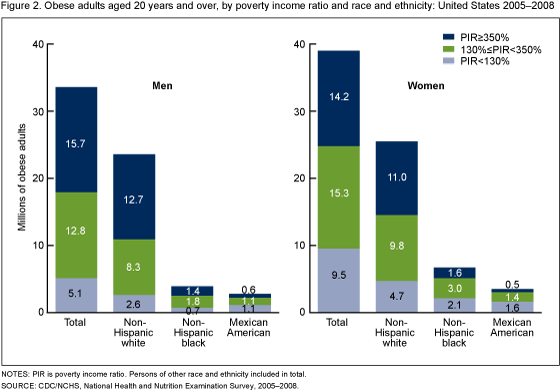 Figure 2 is a bar chart showing the number, in millions, of obese adults 20 years and older by sex, race and ethnicity, and poverty income ratio in the United States for the combined years 2005-2008.