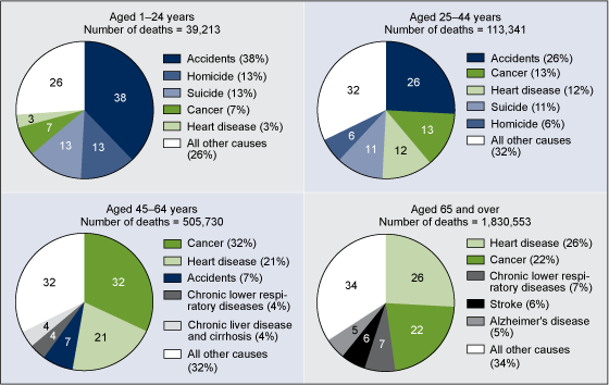 Figure 4 shows four individual pie charts, each showing a percent distribution of leading causes of death for different age groups for 2011