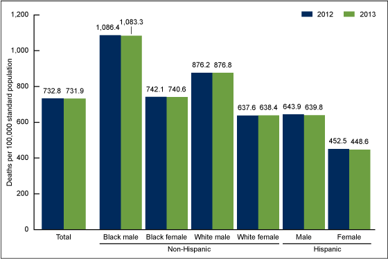 Figure 2 is a bar graph showing age-adjusted death rates by race and Hispanic origin and sex for 2012 and 2013.