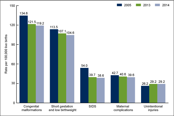 Figure 4 is a bar chart showing infant mortality rates for the five leading causes of death for the years 2005, 2013, and 2014.
