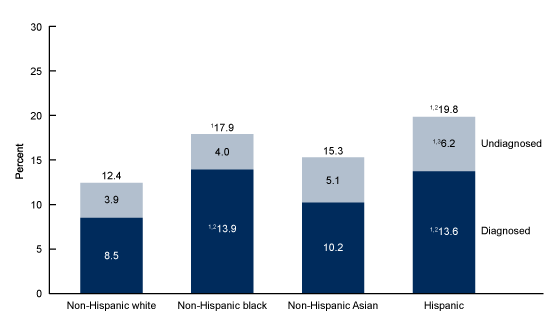 Figure 3 is a bar chart showing the age-adjusted prevalence of total, diagnosed, and undiagnosed diabetes among adults aged 20 and over, by race and Hispanic origin in the United States from 2013 through 2016.