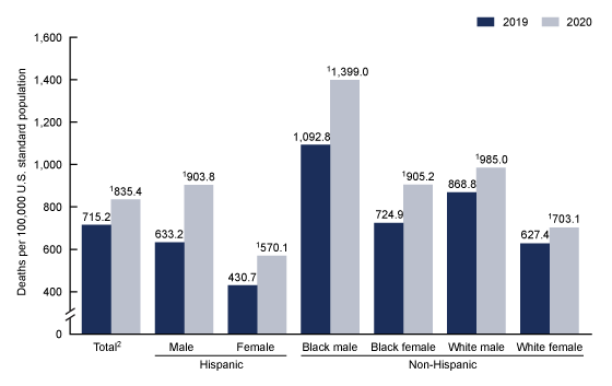 Figure 2 is a bar graph showing age-adjusted death rates for Hispanic males and females, non-Hispanic Black males and females, and non-Hispanic males and females in the United States in 2019 and 2020.