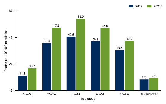 Figure 2 is a bar graph showing the drug overdose death rates among those aged 15 and over by selected age group for 2019 and 2020 in the United States.