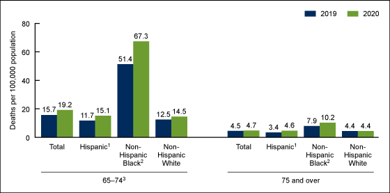 Figure 2 is a bar chart showing the drug overdose death rate for men aged 65 and over by age group, race and Hispanic origin, and year in the United States, 2019–2020.