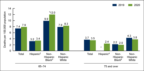 Figure 3 is a bar chart showing the drug overdose death rate for women aged 65 and over by age group, race and Hispanic origin, and year in the United States, 2019–2020.