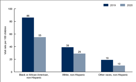 Figure 3 is a bar chart showing emergency department visit rates per 100 patients aged 0–17 in 2019 and 2020 by race and ethnicity, which includes the categories Black or African American non-Hispanic, White non-Hispanic, and other non-Hispanic races.