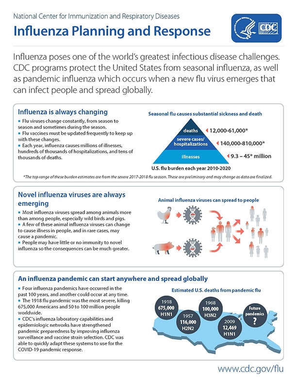 Cover for Influenza Planning and Response