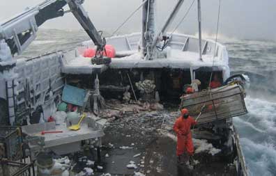 Bering Crab Fishing Jobs on Typical Day Crab Fishing On The Bering Sea In Alaska Photo Courtesy