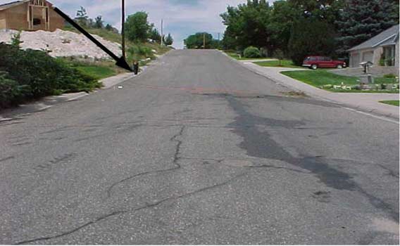 Photo 2.  Looking north up the hill.