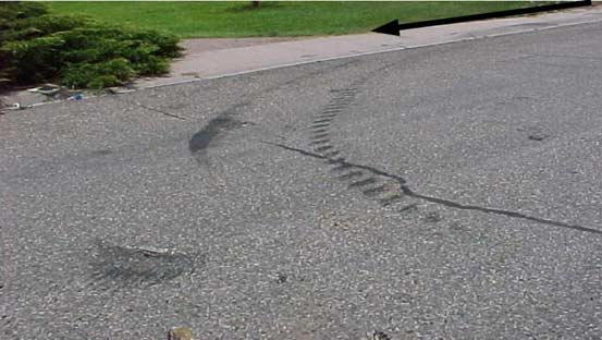 Photo 4.  Tire skid marks left after equipment contacted concrete curve and veered to the left, before completeing a &frac34; roll.
