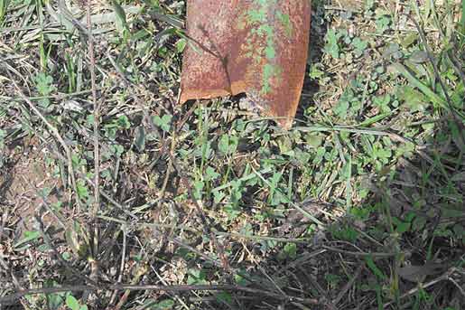 End of wagon tongue with pin hole sheared off.