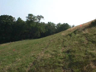 Figure 2. The 50% (27 degree) slope the tractor was traversing. From this perspective, the tractor was traveling away from you. The black arrow represents the tractor's position before the roll.
